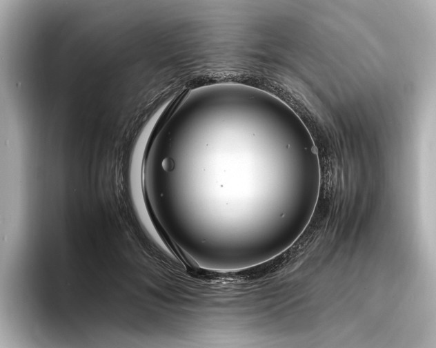 X0000094340700200711021451