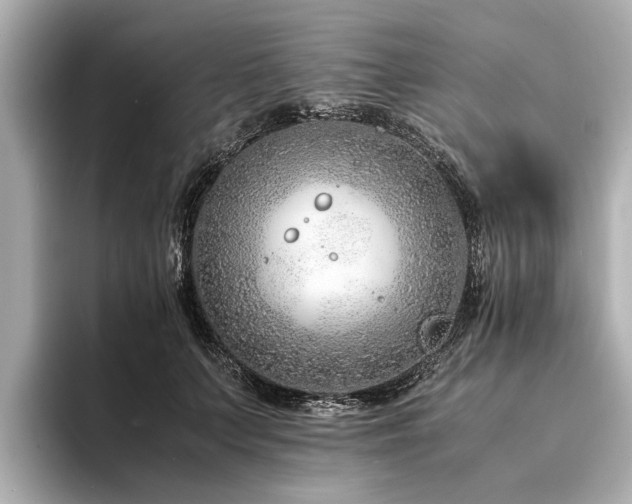 X0000094340703200711021451