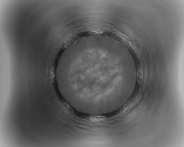 X0000094340707200711021451