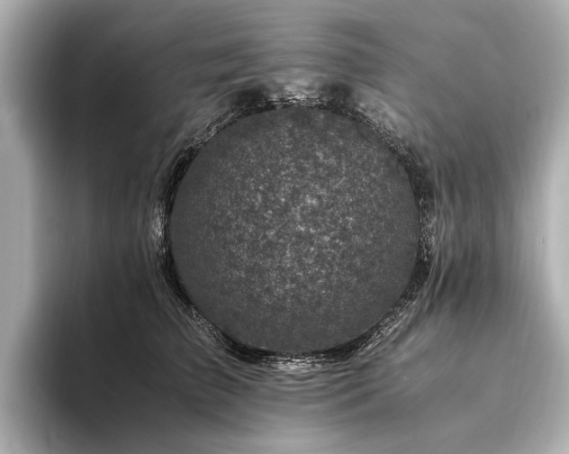 X0000094340709200711021451