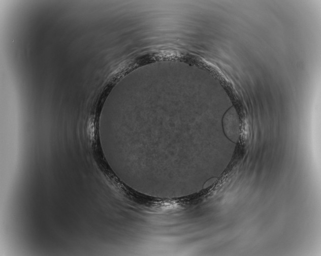 X0000094340715200711021451