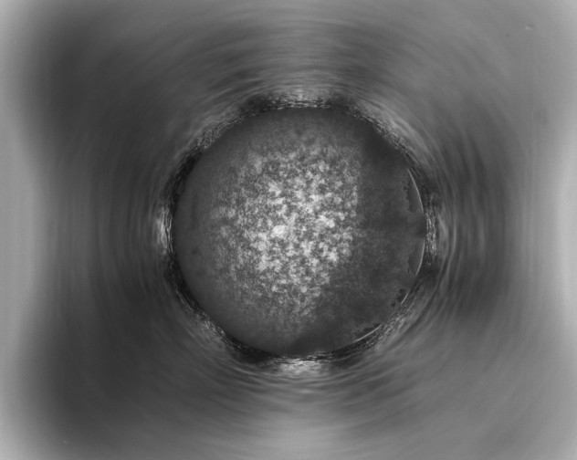 X0000094340718200711021451