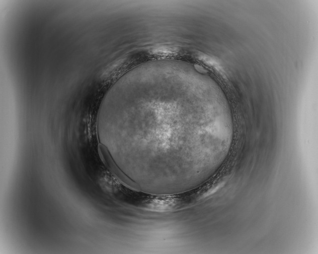 X0000094340720200711021451