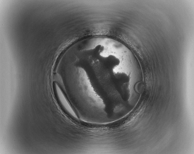 X0000094340721200711021450