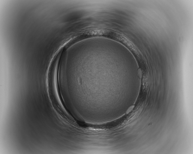 X0000094340722200711021450