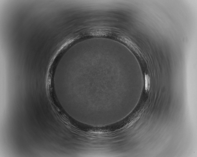 X0000094340723200711021450