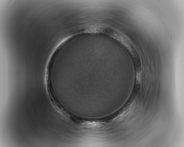X0000094340724200711021450