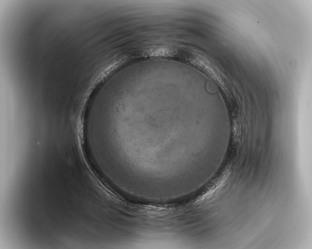 X0000094340725200711021450