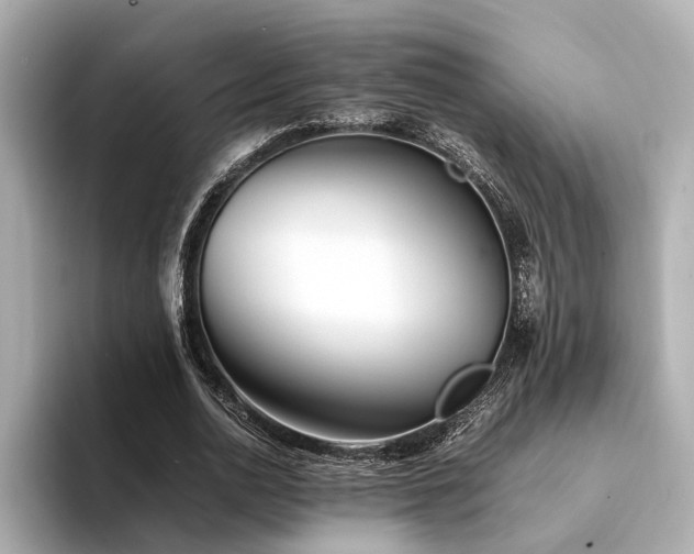 X0000094340726200711021450