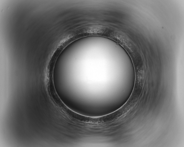 X0000094340727200711021450