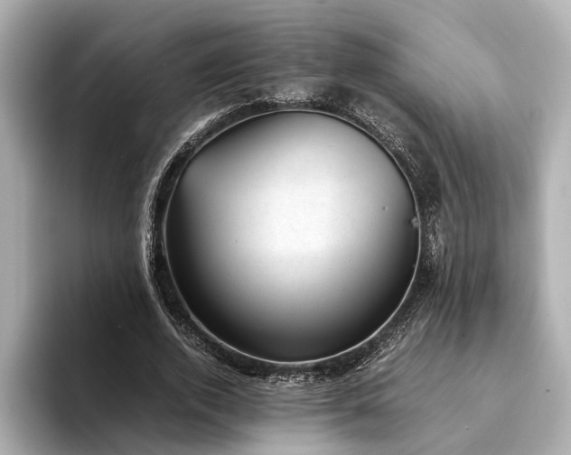 X0000094340728200711021450