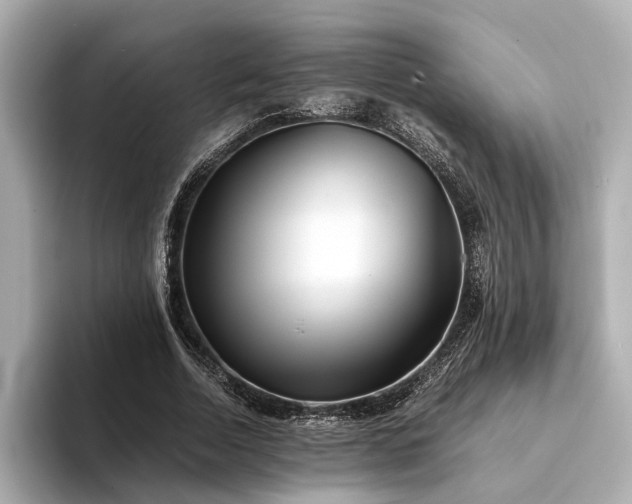 X0000094340730200711021450
