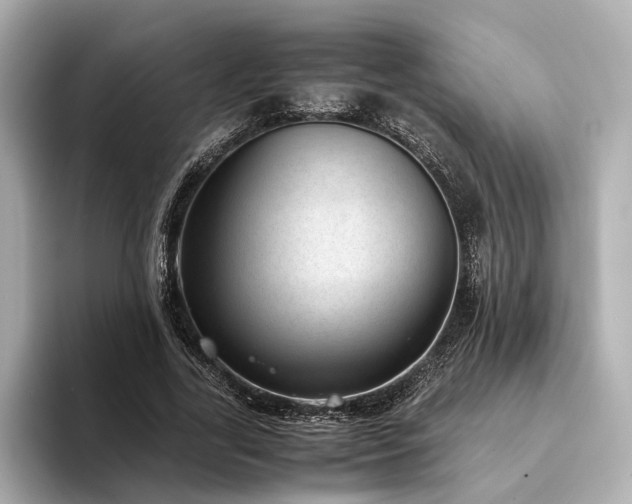 X0000094340731200711021450