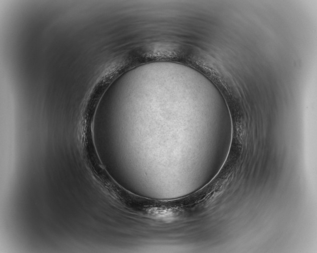 X0000094340735200711021450