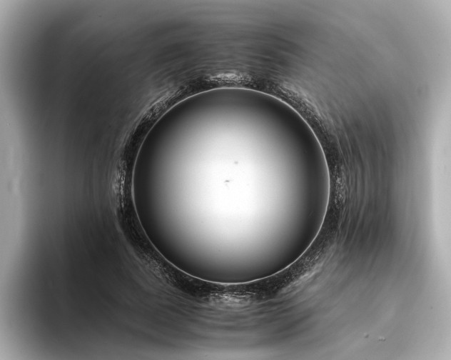 X0000094340739200711021450