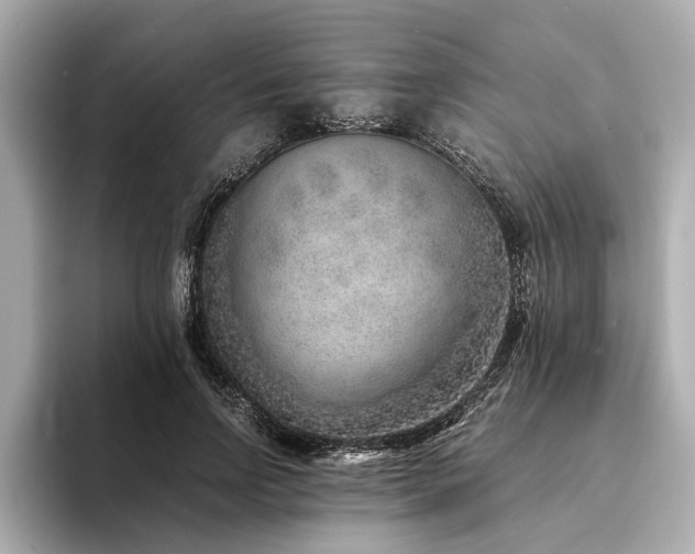 X0000094340742200711021450