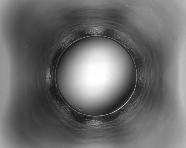 X0000094340743200711021450