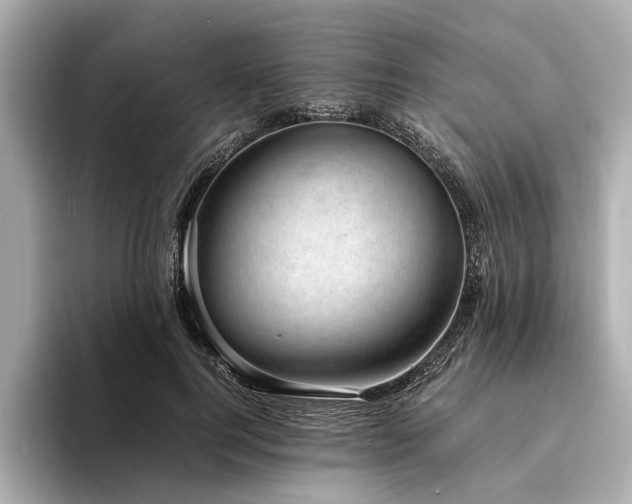 X0000094340744200711021450
