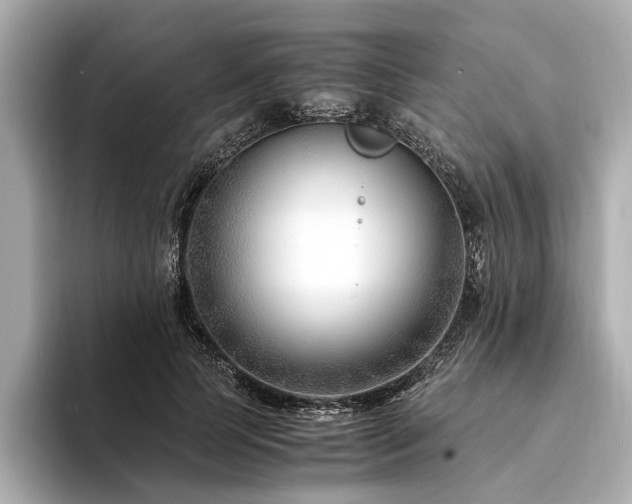 X0000094340745200711021450