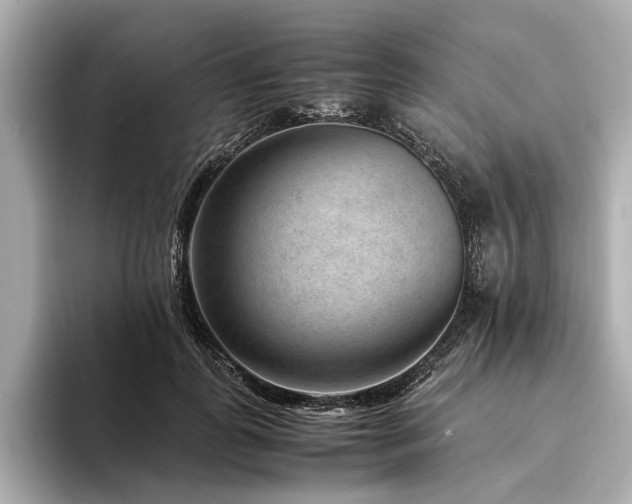 X0000094340747200711021450