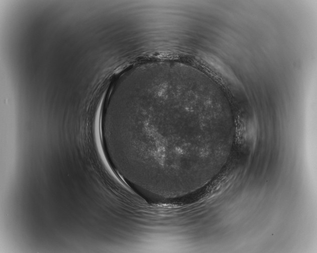X0000094340748200711021450