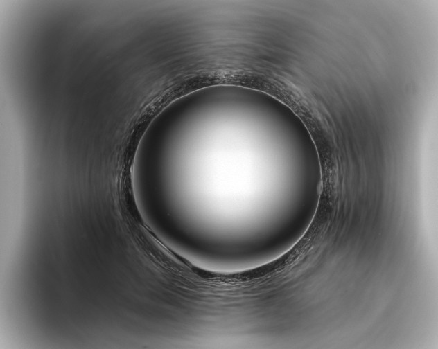 X0000094340750200711021450
