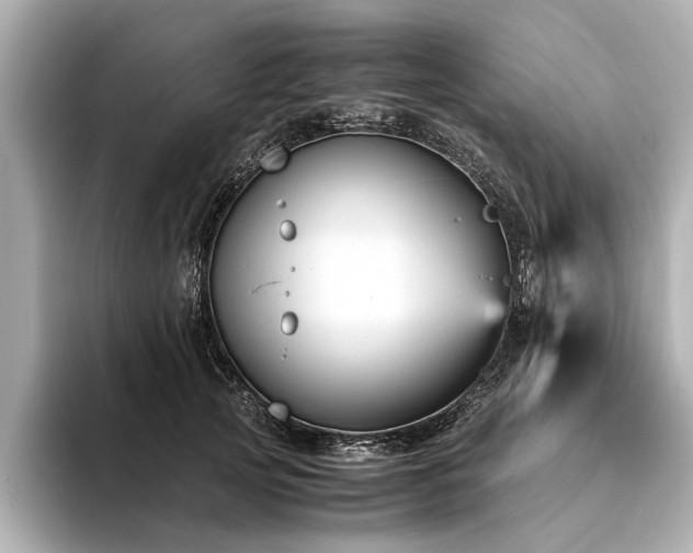 X0000094340753200711021450