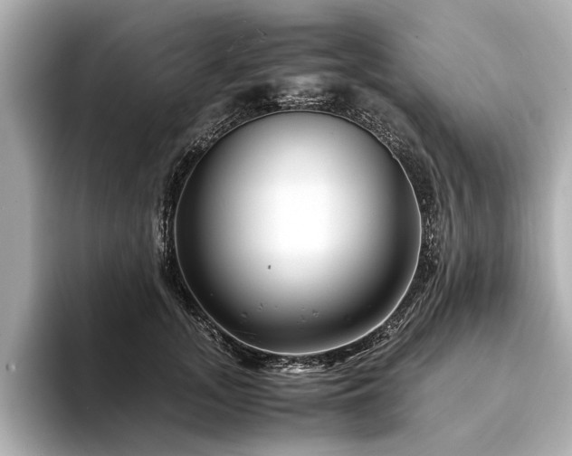 X0000094340755200711021450