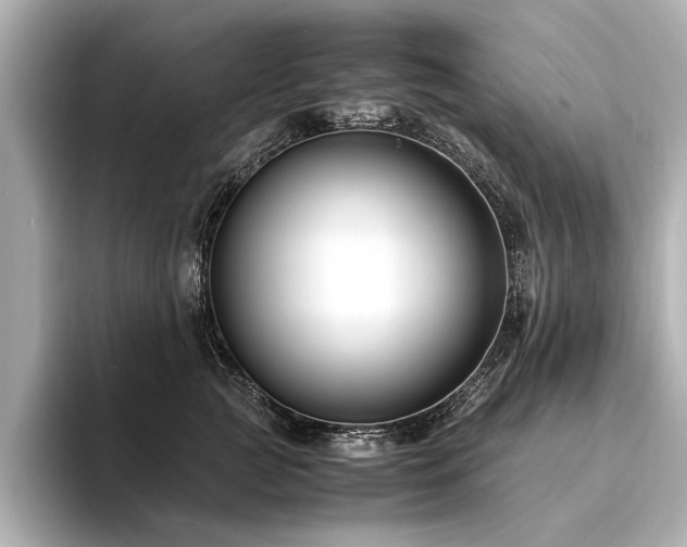 X0000094340761200711021450