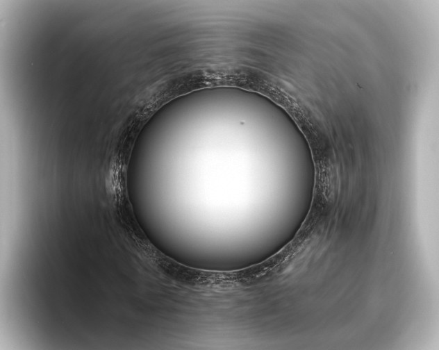 X0000094340770200711021450
