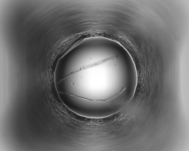 X0000094340773200711021450