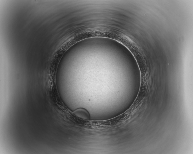 X0000094340774200711021450