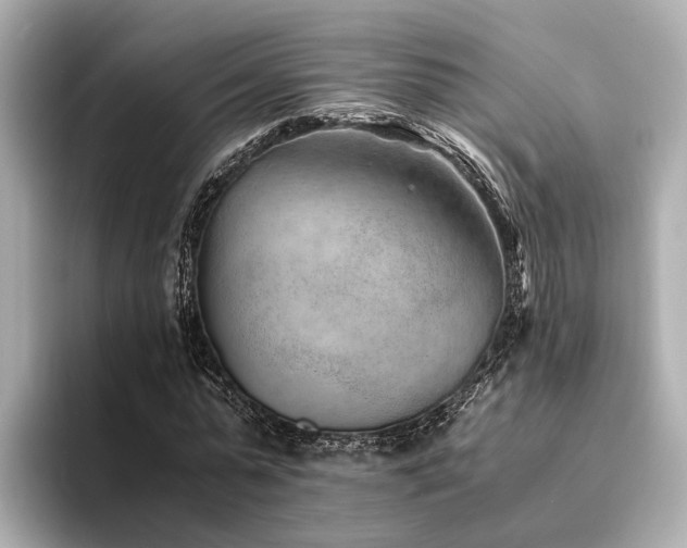 X0000094340775200711021450