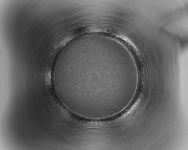 X0000094340777200711021450