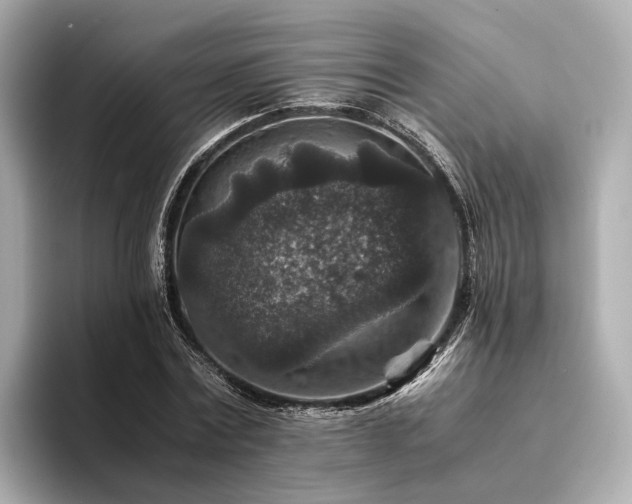 X0000094340779200711021450