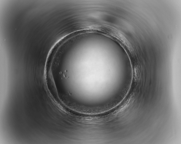 X0000094340780200711021450