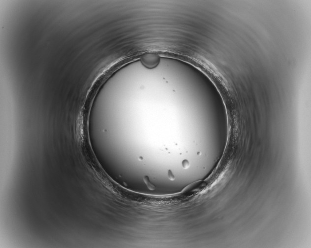 X0000094340782200711021450