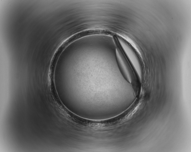 X0000094340783200711021450