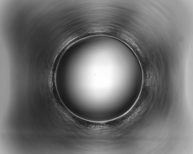 X0000094340786200711021450