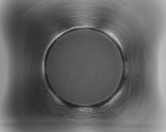 X0000094340789200711021450