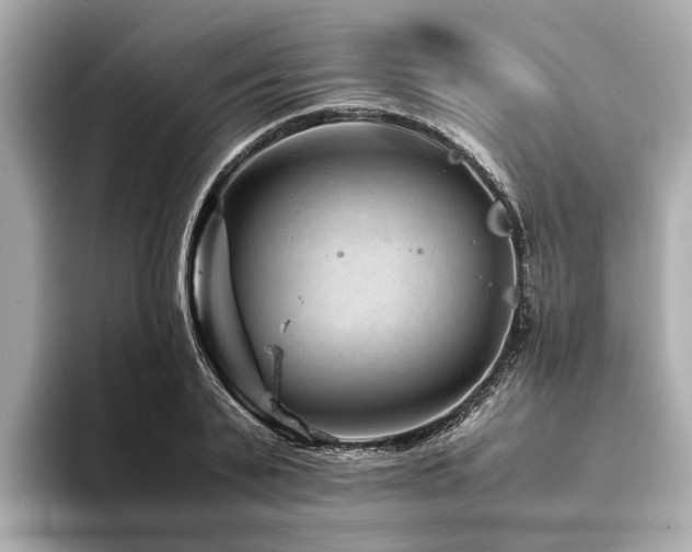 X0000094340791200711021450