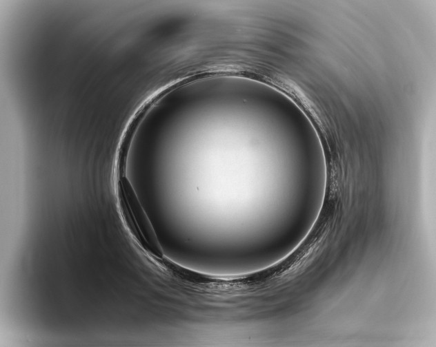 X0000094340795200711021450