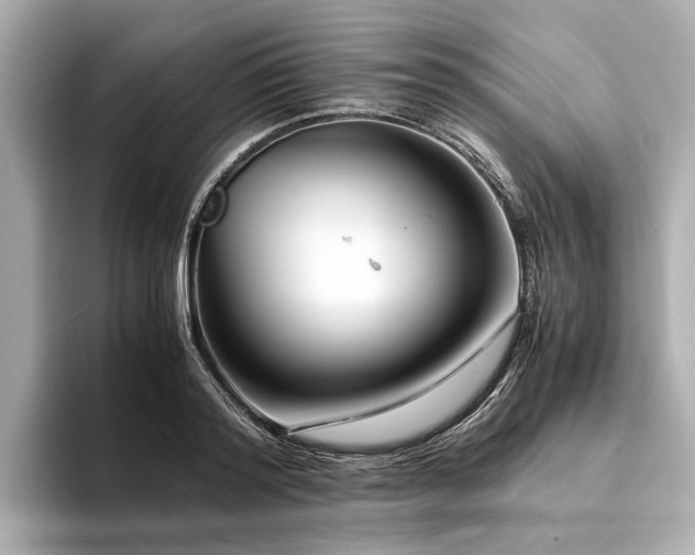 X0000094340796200711021450