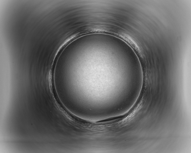 X0000094340798200711021450
