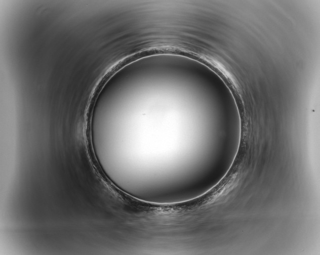 X0000094340799200711021450