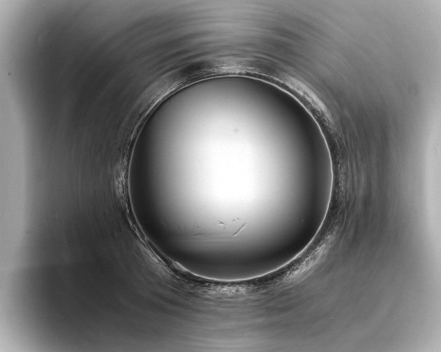 X0000094340801200711021450