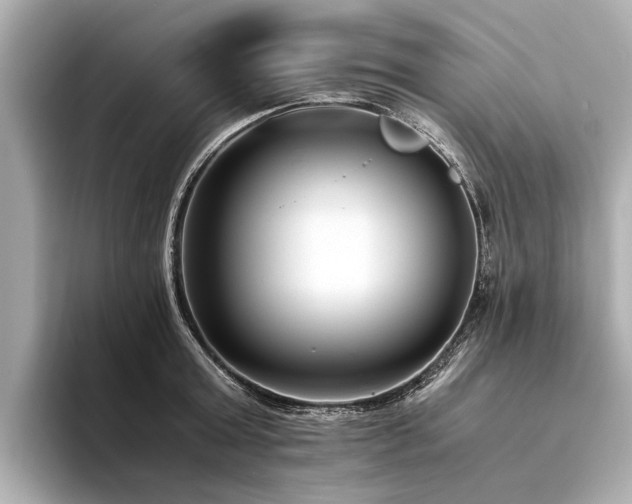 X0000094340803200711021450