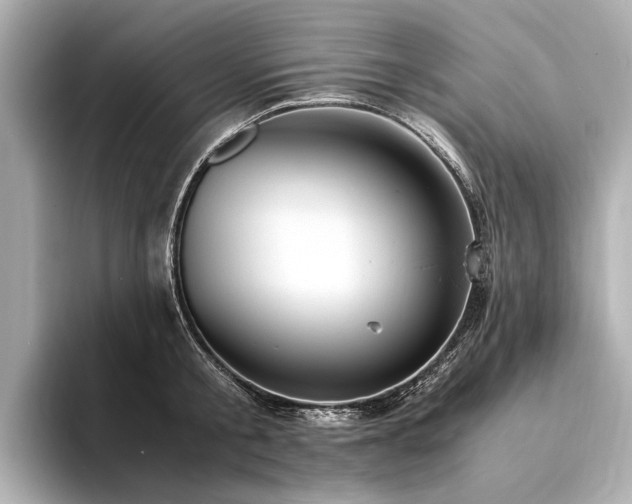 X0000094340805200711021450