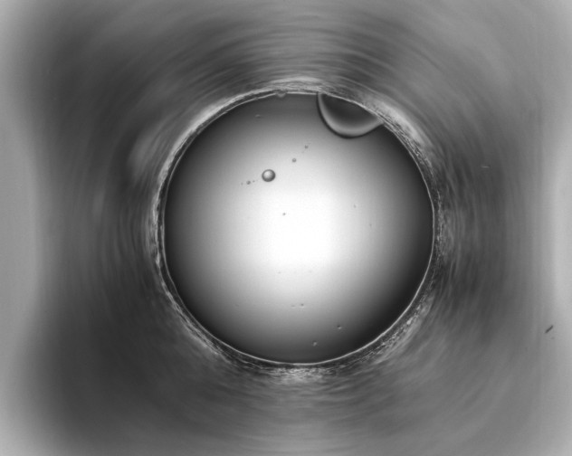 X0000094340808200711021450