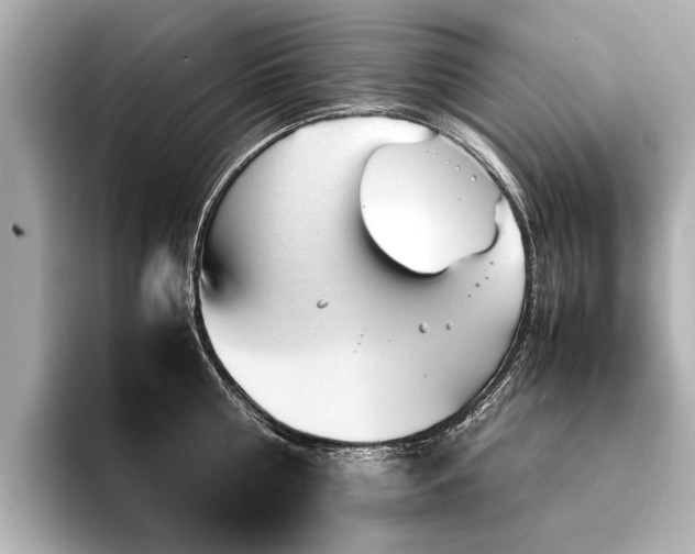 X0000094340810200711021450